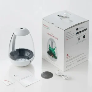 Knallerangebot Chihiros Tiny Terrarium Egg (Set)